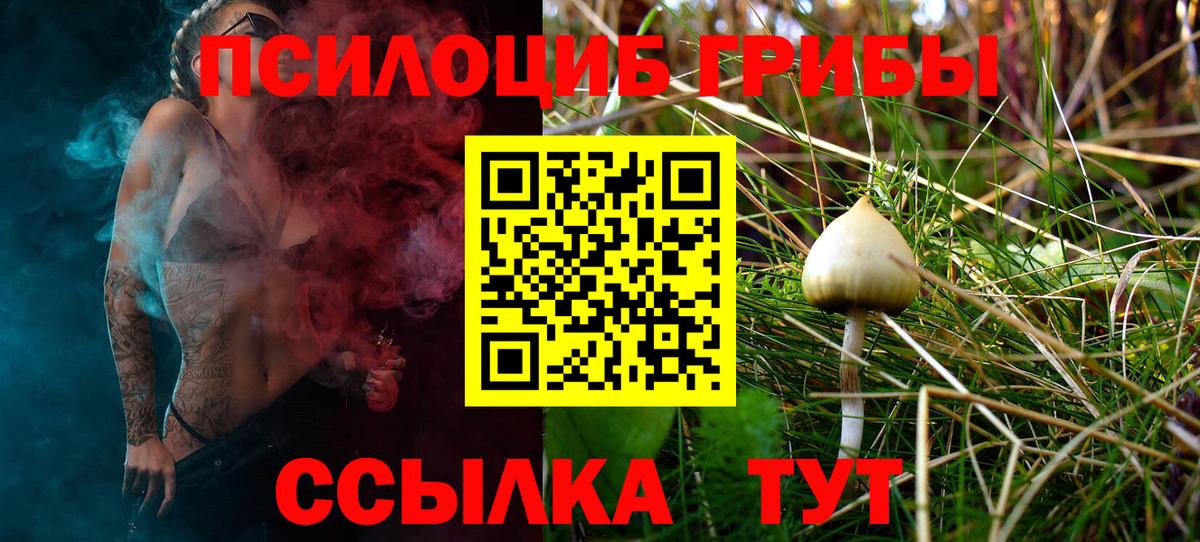 Галлюциногенные грибы Cubensis  Вход с VPN  Берёзовский 