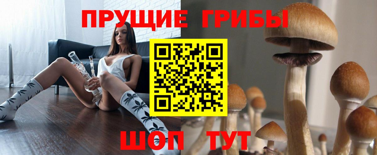 магазин  наркотиков  Берёзовский  Псилоцибиновые грибы Psilocybine cubensis  Псилоцибиновые грибы мухоморы 